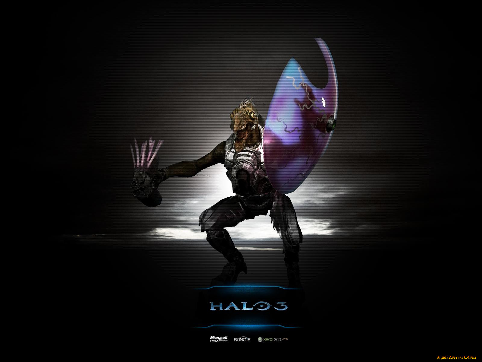 halo, , 